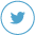 Twitter Icon